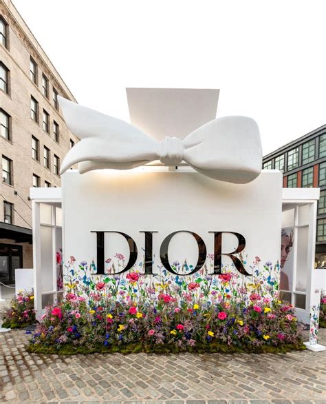 Tema Dior 